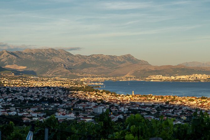 Vineyard Experience: Wine Tasting near Split - Who will enjoy this outing most?