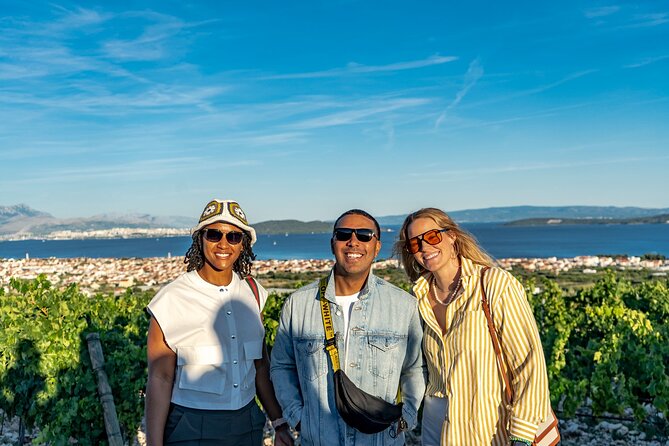 Vineyard Experience: Wine Tasting near Split - Meeting at the Golden Gate