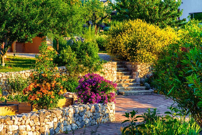 Visit Klis fortress GOT & Olive museum Klis - Getting from Stella Croatica to Klis Fortress