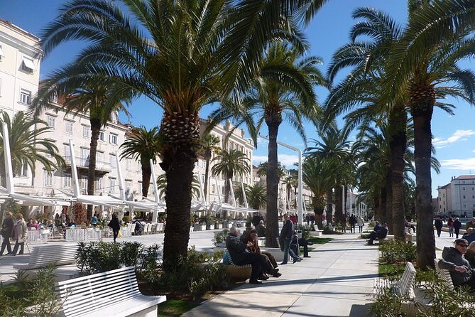 Walking tour of Split old town and craft beer tasting - The Peristyle and the emperor’s public stage