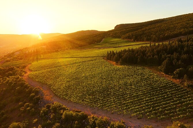 Wine Tasting Grabovac Tour From Makarska - Pickup rules and the extra-transfer issue