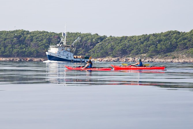 Zadar Archipelago 3 Islands Sea Kayaking Day Trip - Timing, lunch, and what the price really covers