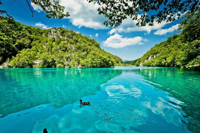 Zagreb to Split Group Transfer with Plitvice Lakes guided Tour - The park train and electric boat