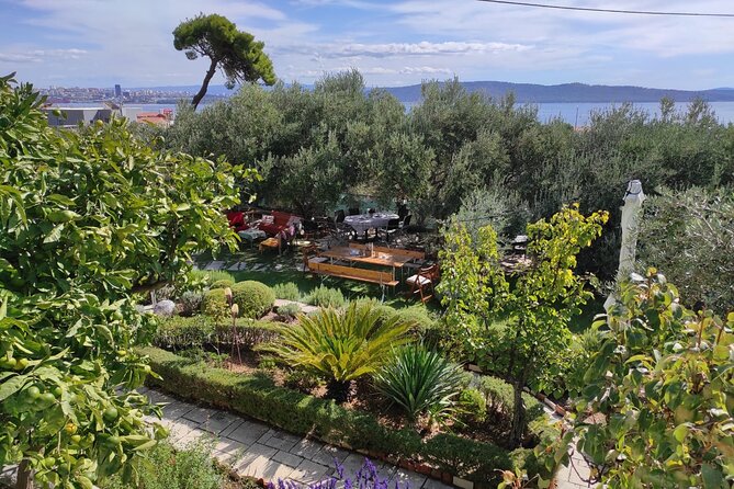 Zinfandel Wine Tasting & Storytelling with Dalmatian Food - Practical details before booking